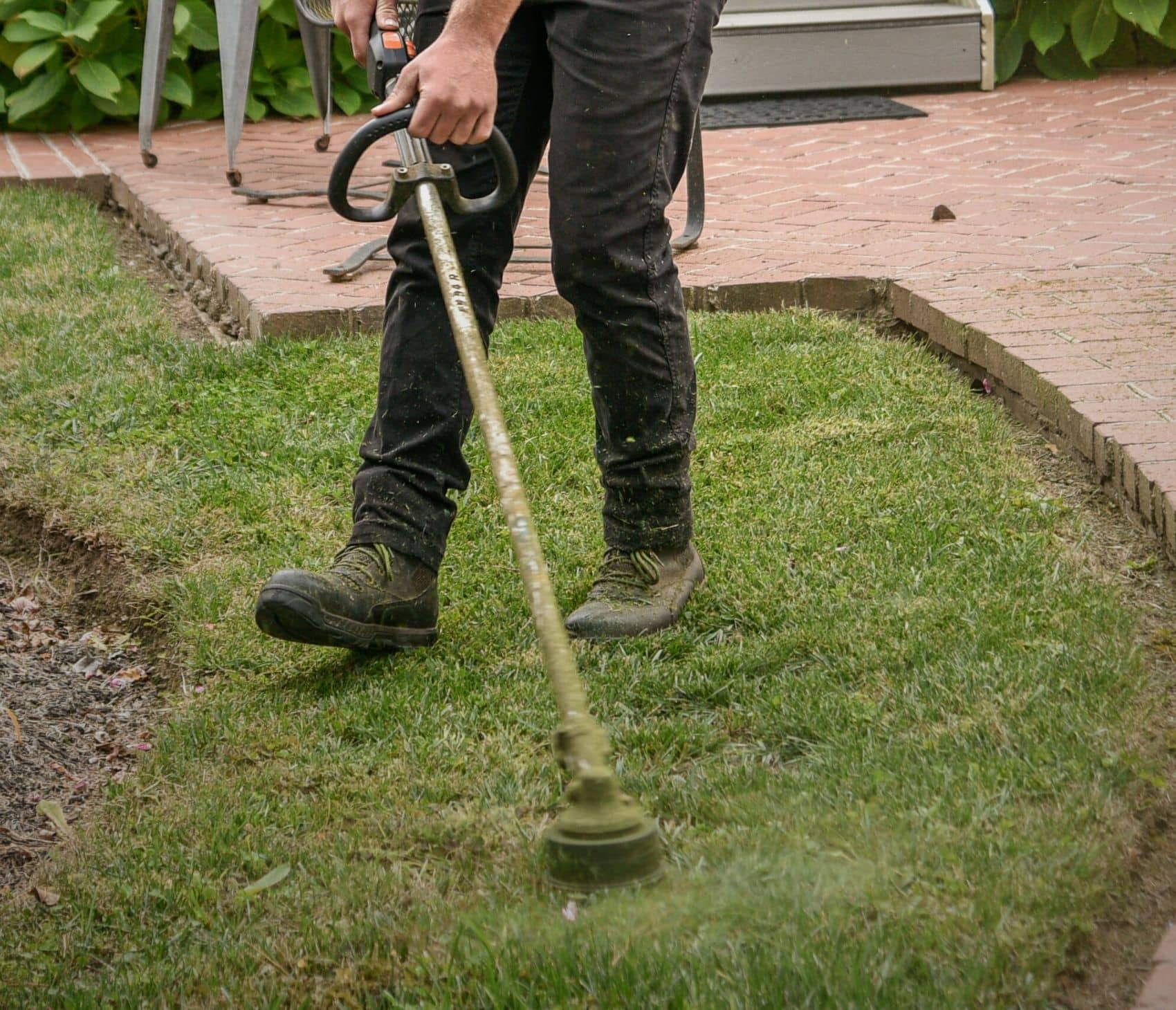 trimming grass