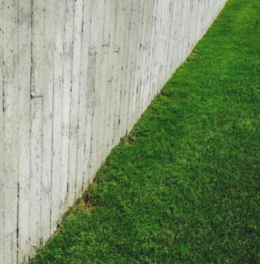 freshly mowed lawn