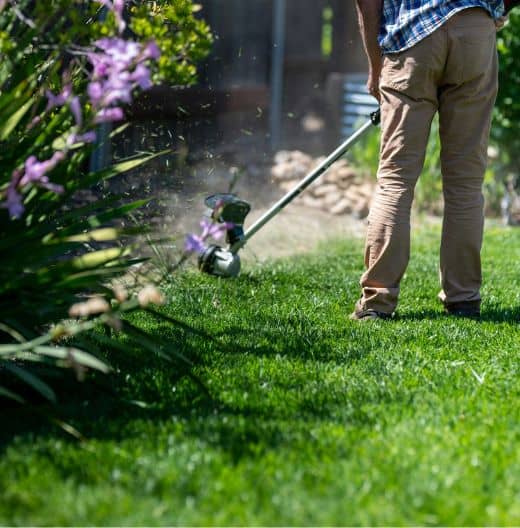 trimming grass
