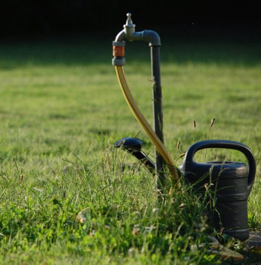 garden hose